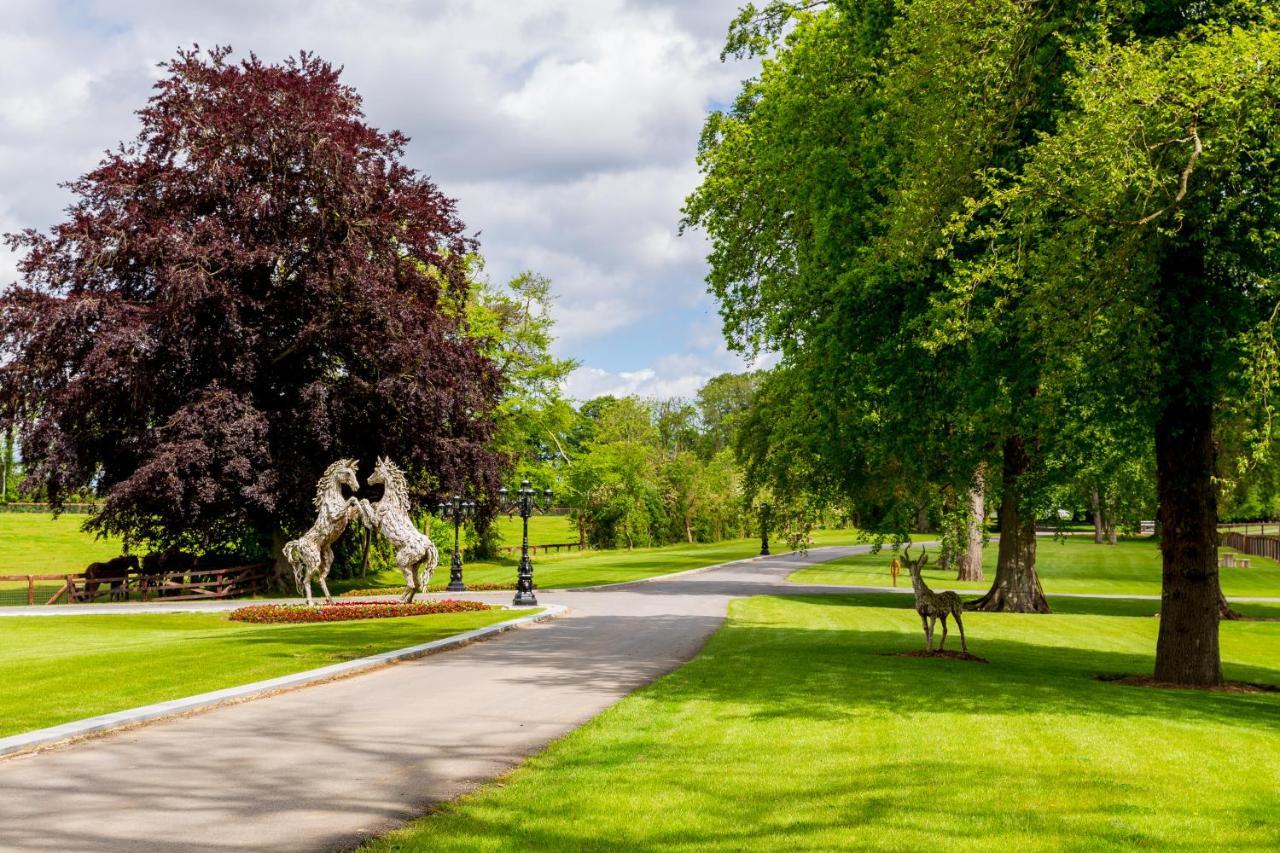 Queens Brook Apartment Navan Dış mekan fotoğraf